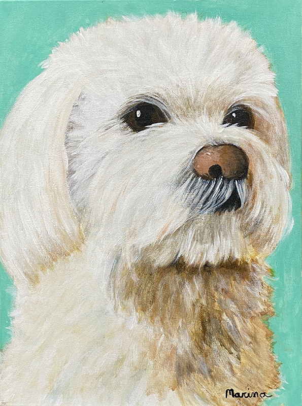 Pipoca - 30 x 40 - AST - 2021